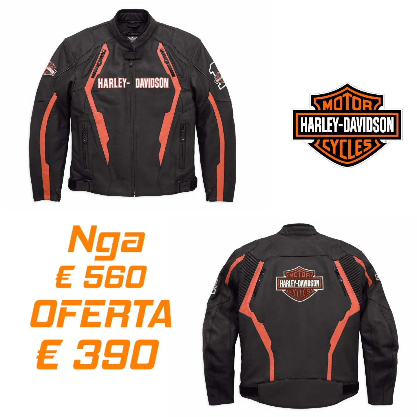Xhup lekure Harley-Davidson super okazion